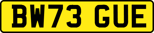 BW73GUE