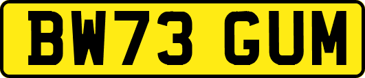 BW73GUM