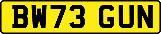 BW73GUN