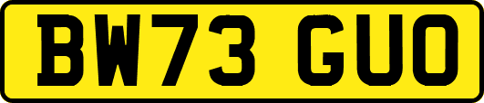 BW73GUO