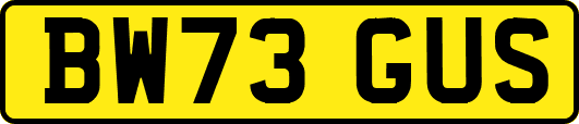 BW73GUS
