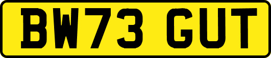 BW73GUT
