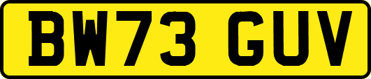 BW73GUV