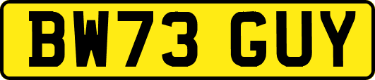 BW73GUY