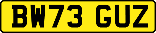 BW73GUZ