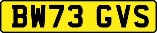 BW73GVS