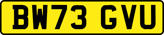 BW73GVU