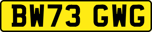 BW73GWG