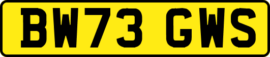 BW73GWS