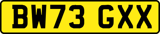 BW73GXX