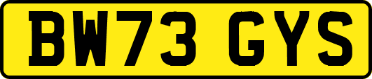 BW73GYS