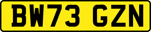 BW73GZN