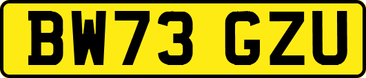 BW73GZU