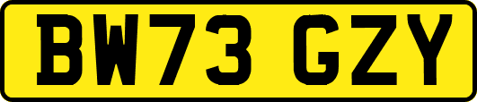BW73GZY