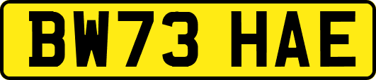 BW73HAE