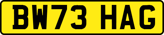 BW73HAG