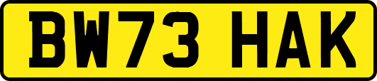 BW73HAK