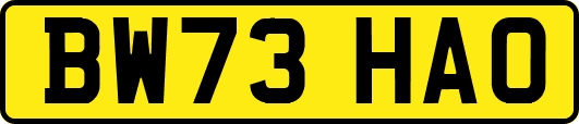 BW73HAO