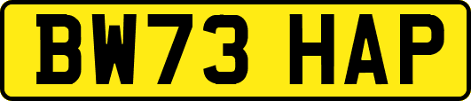 BW73HAP