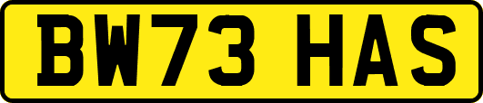 BW73HAS