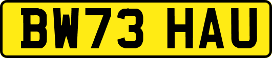 BW73HAU