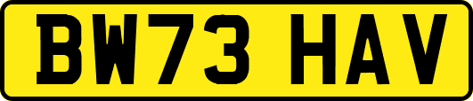 BW73HAV