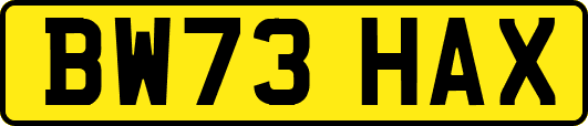 BW73HAX