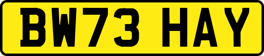 BW73HAY