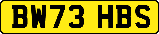 BW73HBS
