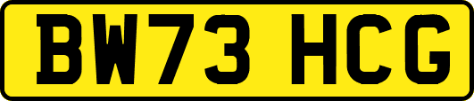 BW73HCG