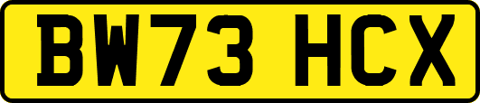 BW73HCX