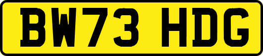 BW73HDG