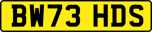 BW73HDS