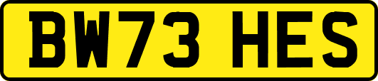 BW73HES