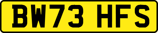 BW73HFS