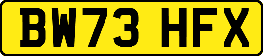 BW73HFX