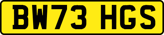 BW73HGS