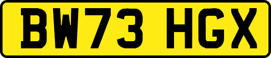 BW73HGX