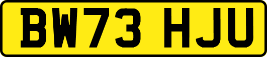 BW73HJU