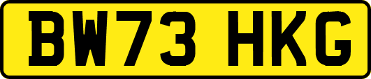 BW73HKG