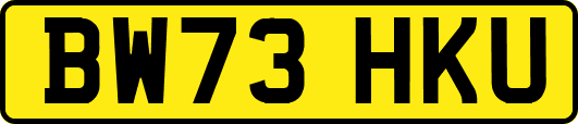 BW73HKU