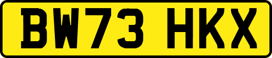 BW73HKX