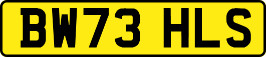 BW73HLS