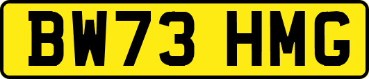 BW73HMG