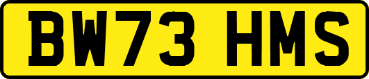 BW73HMS