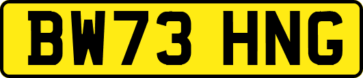 BW73HNG