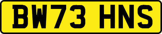 BW73HNS
