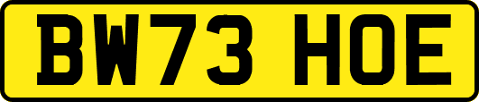 BW73HOE