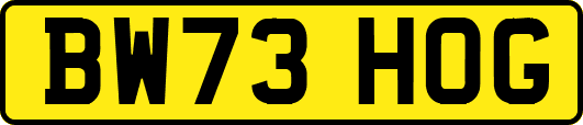 BW73HOG