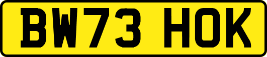 BW73HOK